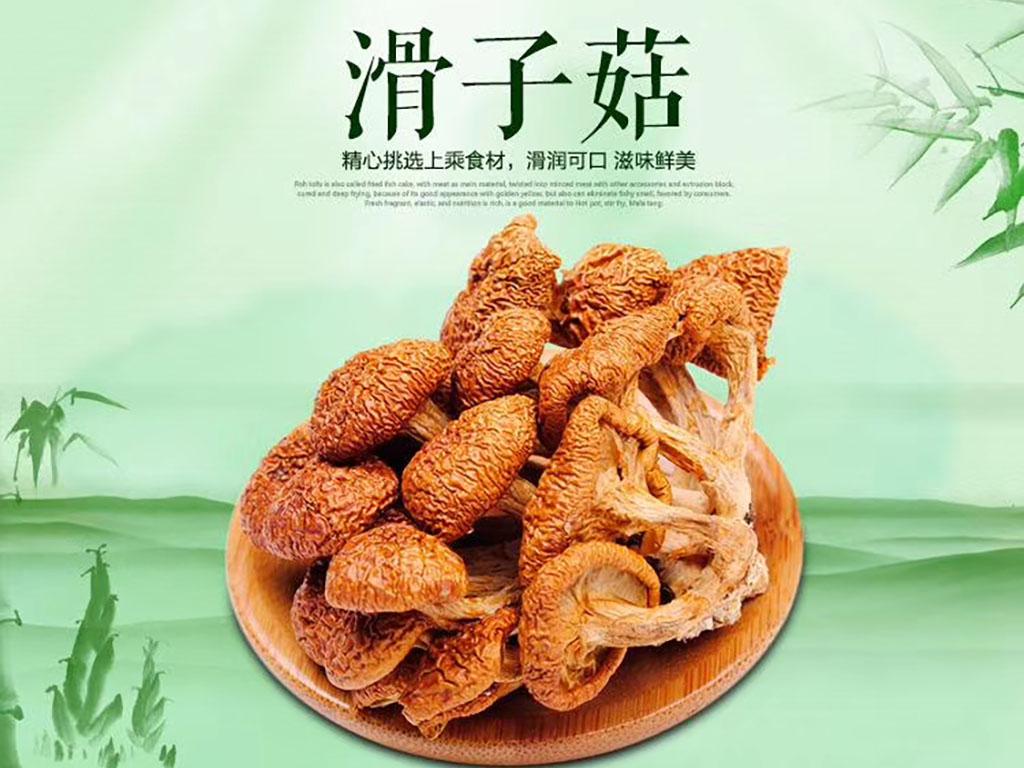 滑子菇