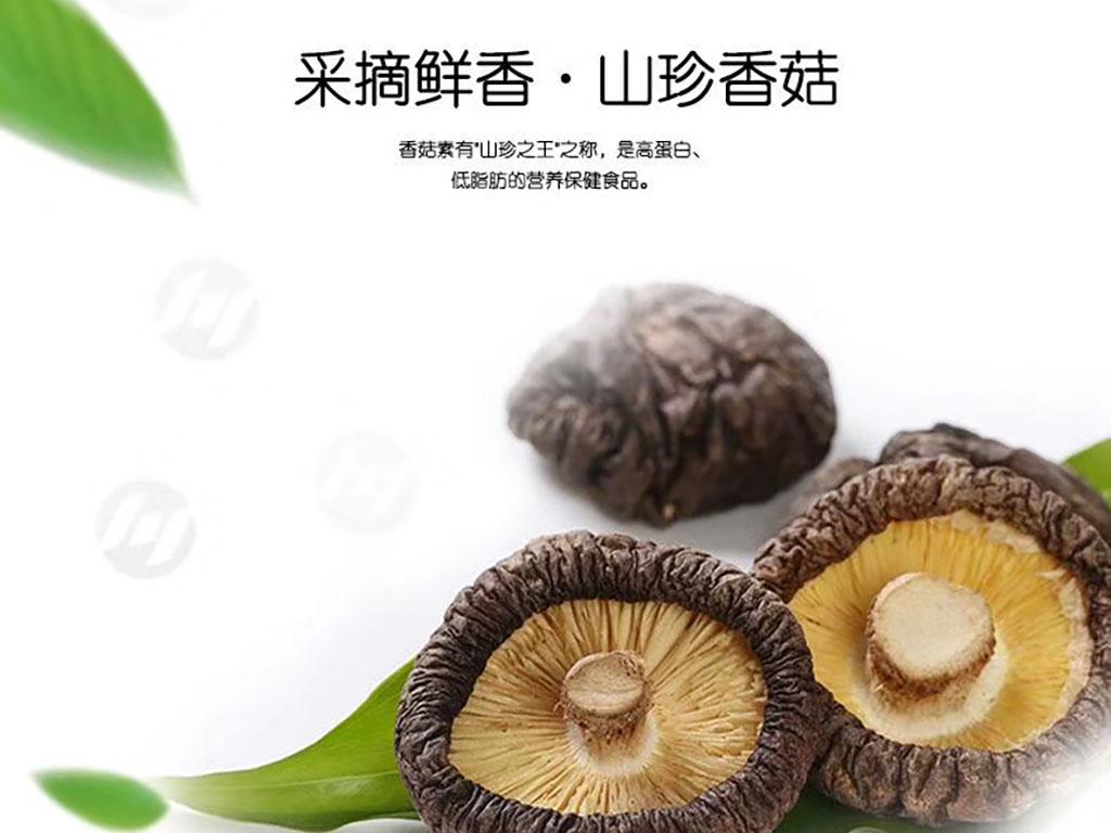 山珍香菇