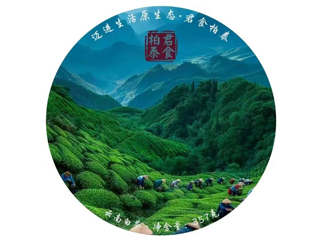 云南白茶