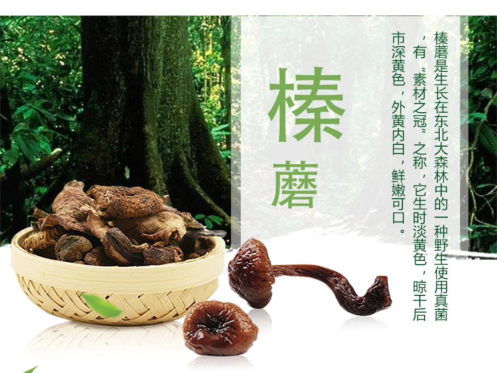榛蘑